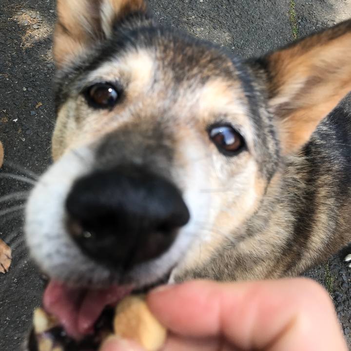 68b9a728 42e6 42df 9842 945afa4d3bb8 1557616723248