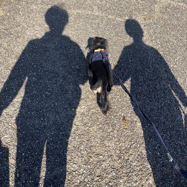 68b9a9f7 ab17 439b a762 32a41e503c3b 1604912508612