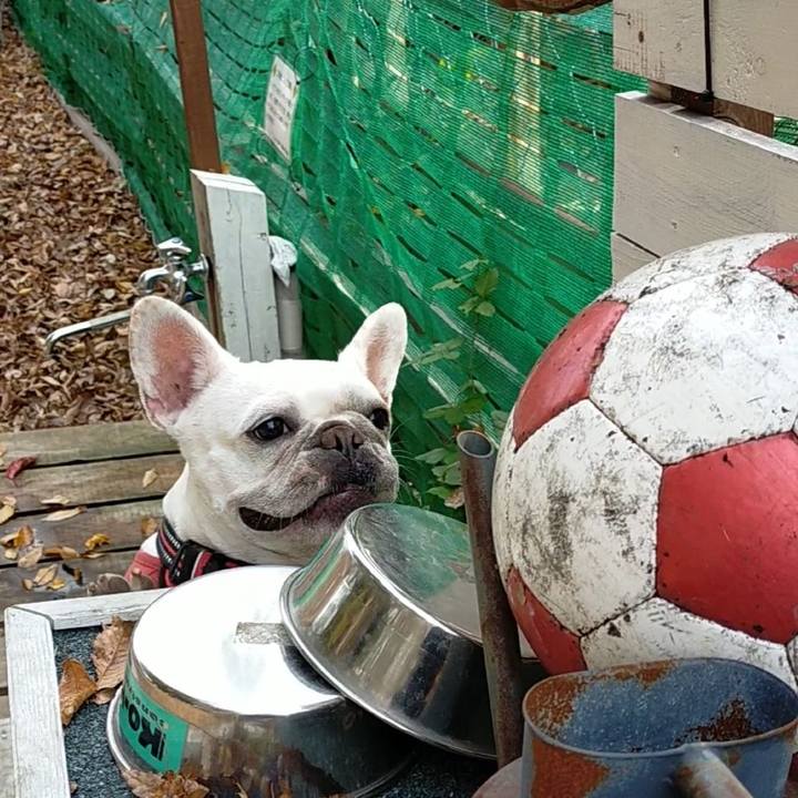 68b9aa69 1506 4ab4 af8e 14fb2abbf2a0 1669972692780