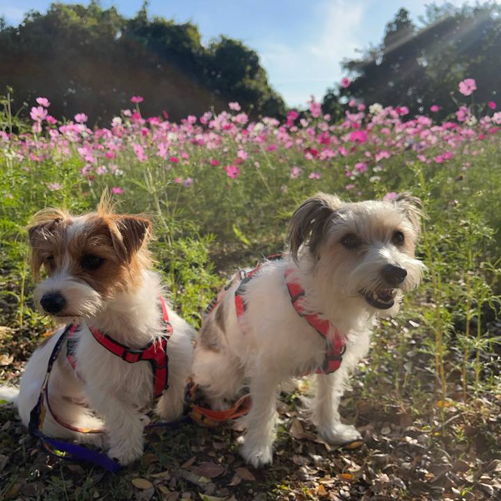 68b9c1c5 4703 47cb a989 0da04a9a711c 1761825038747