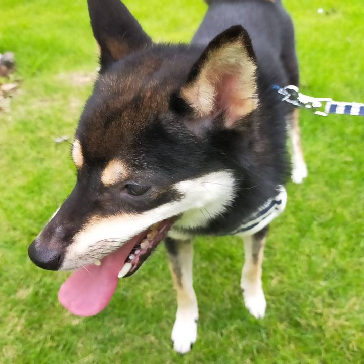 68b9c5cf e13a 4ab0 989f cad8ea7fea62 1594452003057