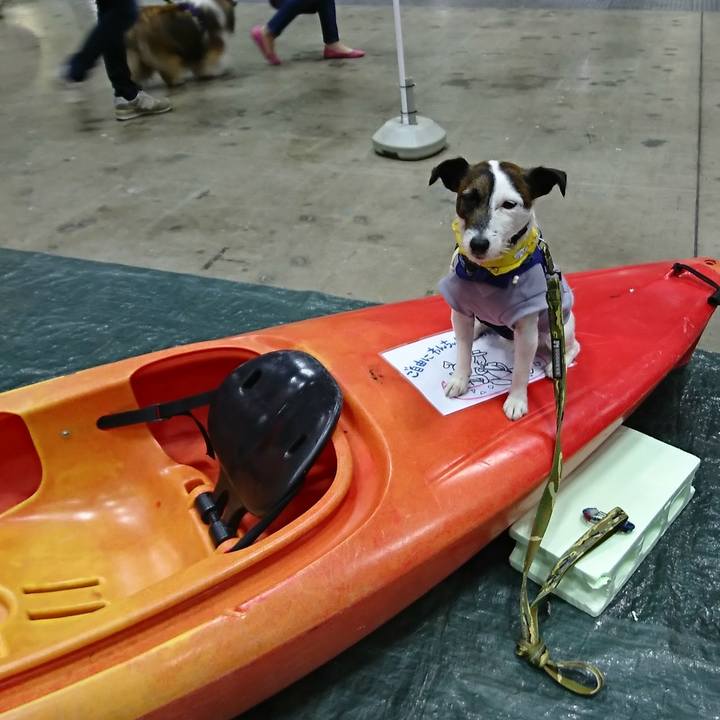 68b9c831 1eb7 4658 9cb7 61d21ea238ff 1522570035026