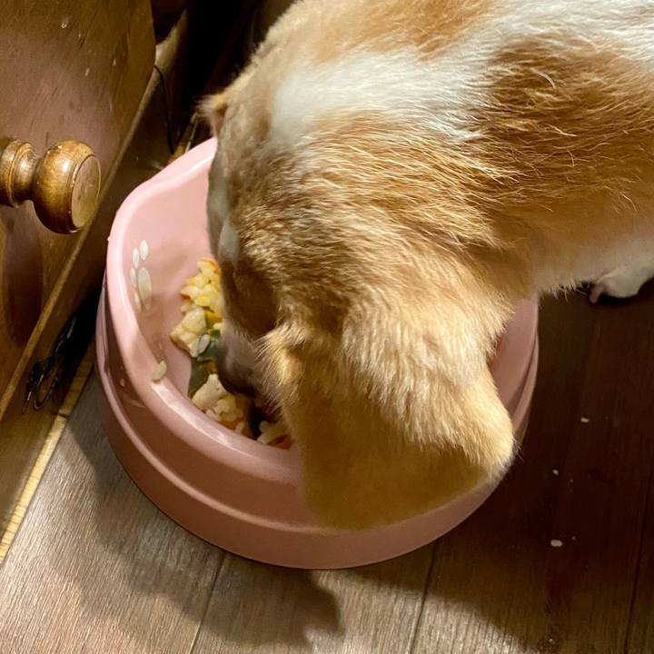 68b9d170 72d2 463b 9137 9d4ece1ee24e 1603363110100