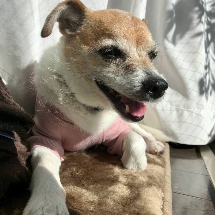 68b9dd47 3182 4756 9205 0f80a677dbc2 1642044012314