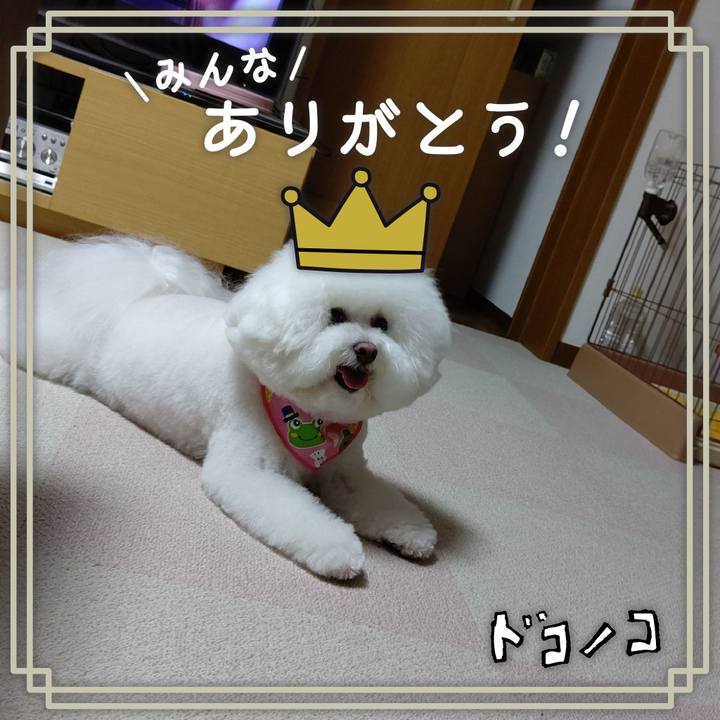 68b9fccd 74b9 4760 ab3f d6b81c5d1090 1622890976439