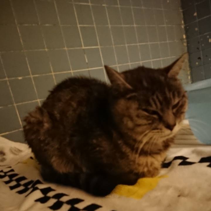 68ba08cc d83d 44b7 bb81 667900b79423 1579167094406