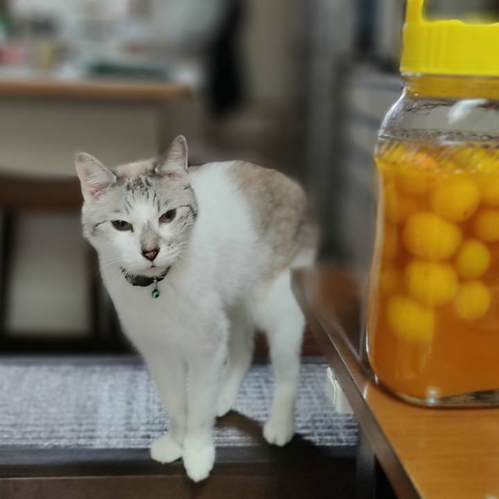 68ba644b c32b 4928 bf16 2f7583b21b18 1623646321452