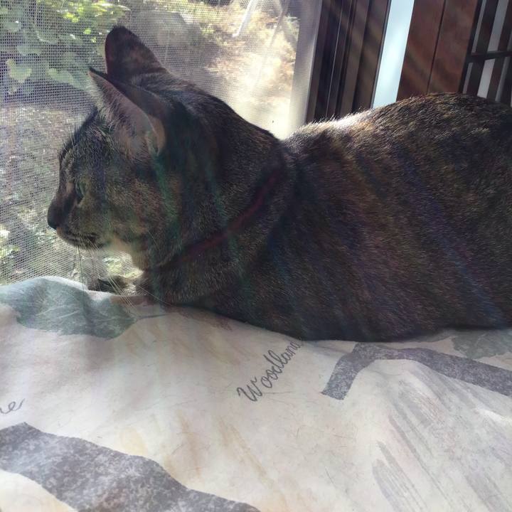 68ba6839 5f35 4bc4 beda 5f33f3f66658 1602462027580