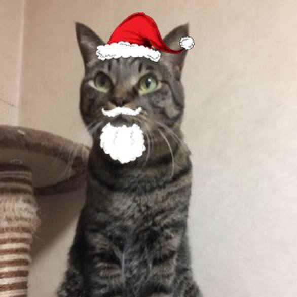 68ba9939 c932 449e b1a2 e314a76437e3 1513569233168