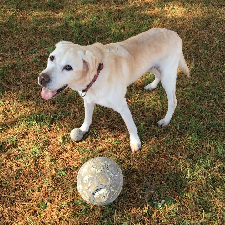 68bab62f 747f 4298 9098 95c242c65b8a 1545189017159