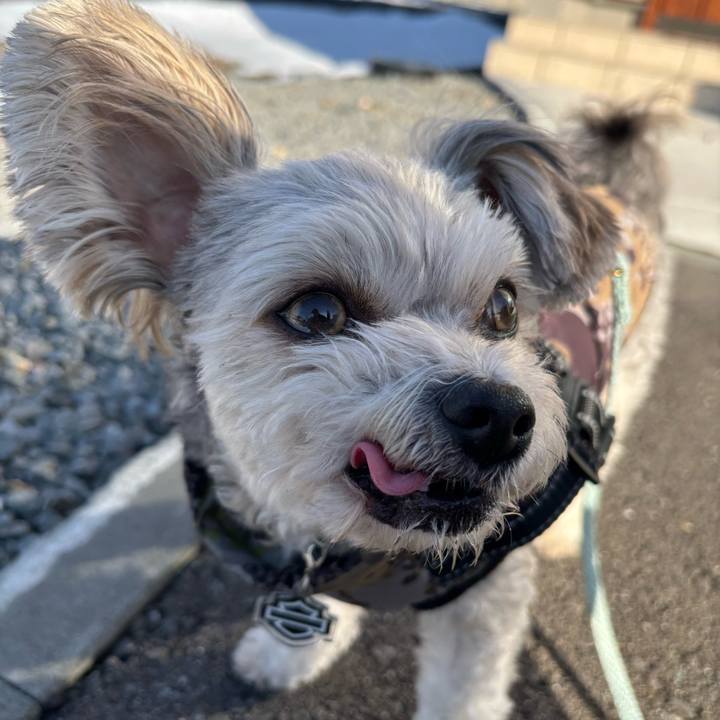 68baee84 e66a 42f6 be4b 459638b42bb9 1764653008556