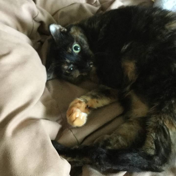 68bb0db6 1043 4701 a96e f3a718c71897 1566693039389