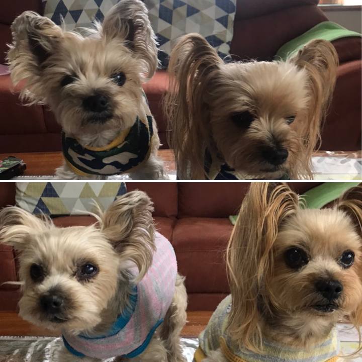 68bb2099 284a 4df1 b1ae 098366a2bdd4 1588152607925