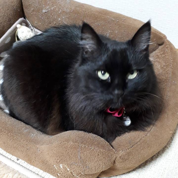 68bb28a0 1d14 428f b9a2 8b42c60a4798 1518010791398