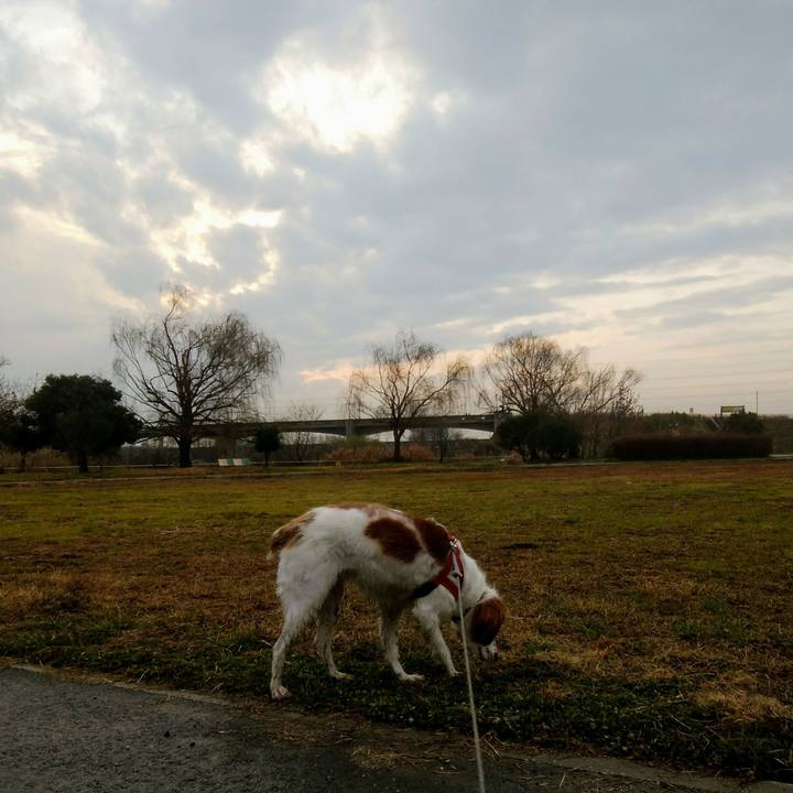 68bb30cd 1a73 40dd 8cb2 c0ddc24a8450 1547551962907