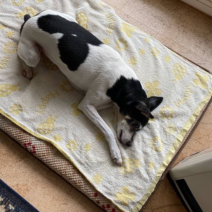 68bb3d03 f436 41de bb51 172e0847c18f 1611386268028