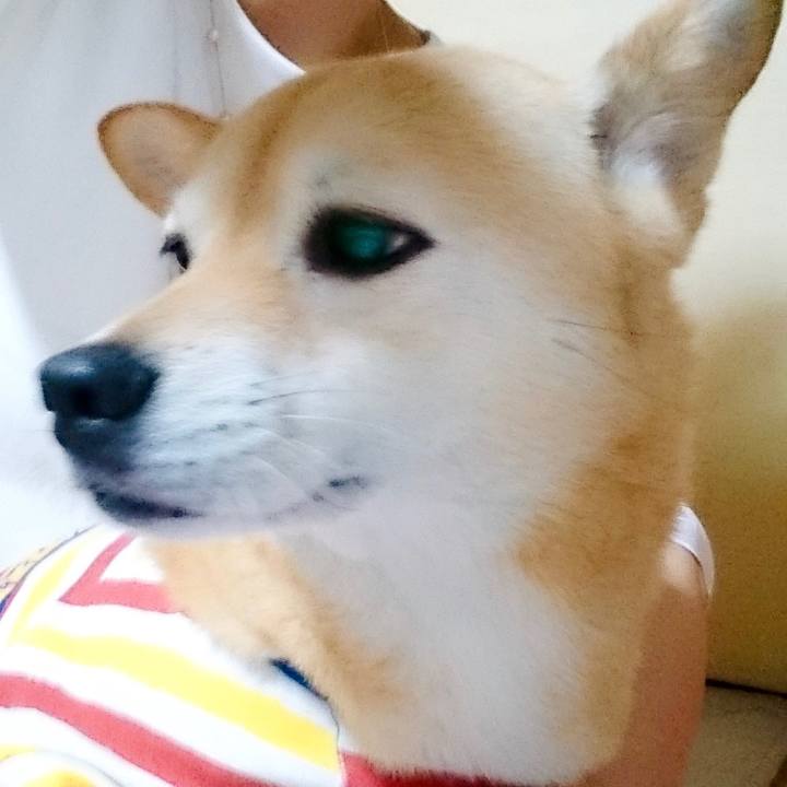 68bb4d54 a274 49c5 842d 1f9781105da5 1622383180608