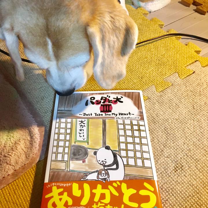 68bb69e7 f6f2 41ce b3dd f7aa16633885 1568452408693