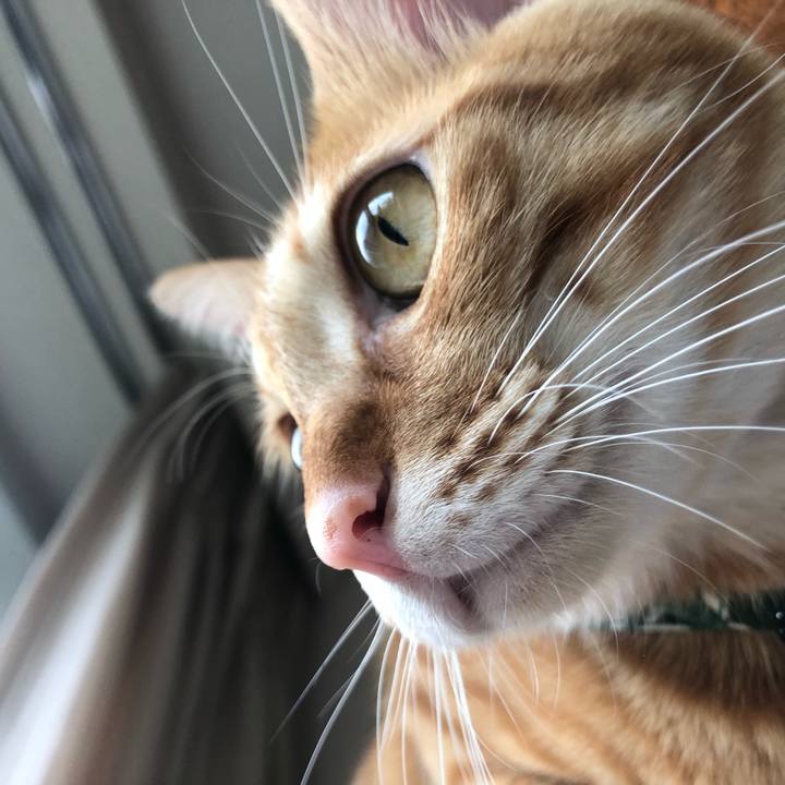 68bb950d 6ff6 4045 b8c9 6c1789a4d38b 1631095411375