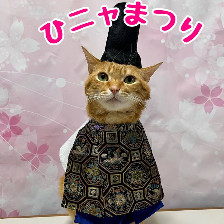 68bba02e e59c 48bc b5c1 75f03457f63f 1772492186272