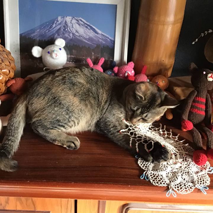 68bc430e 86e5 4aa5 aa8b c95bbec3bcb5 1578121645075