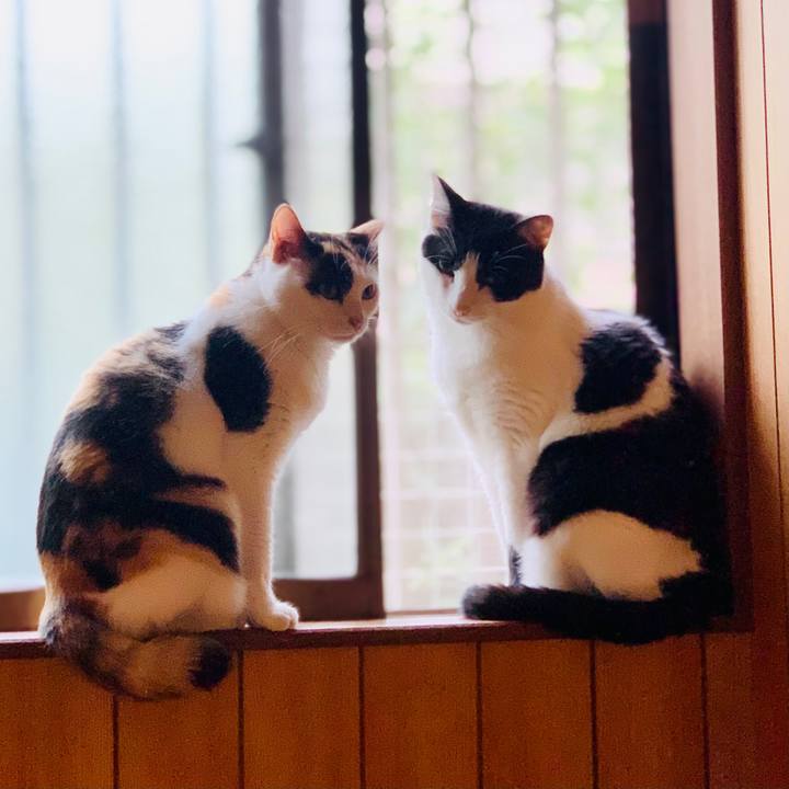 68bc51c9 4954 4cb8 ae2b 059665a3b338 1604798487903