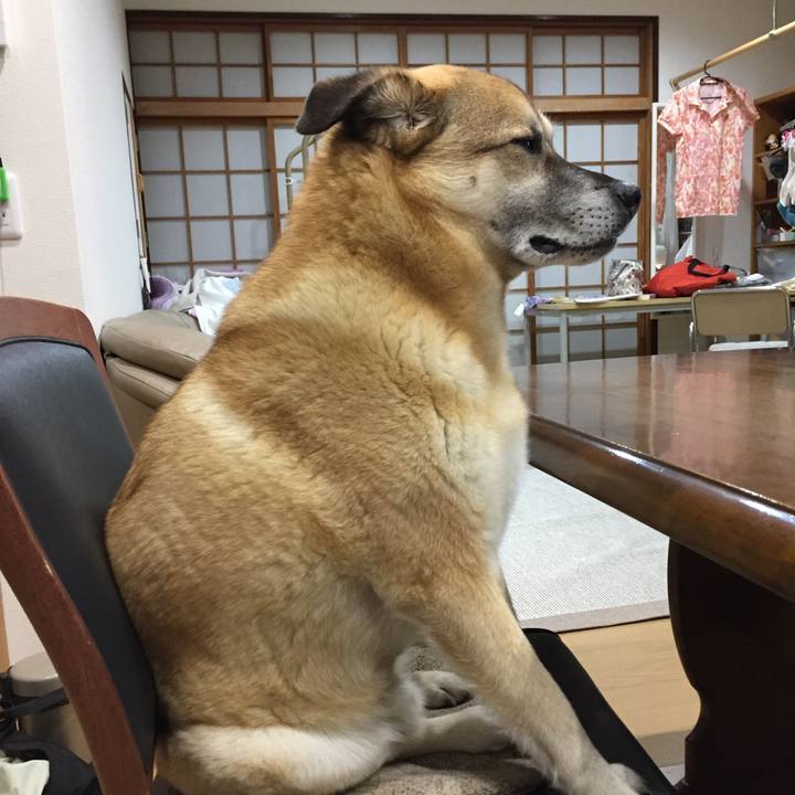 68bc75a8 d5e5 4d81 bd27 352816ff8c7e 1526901066423