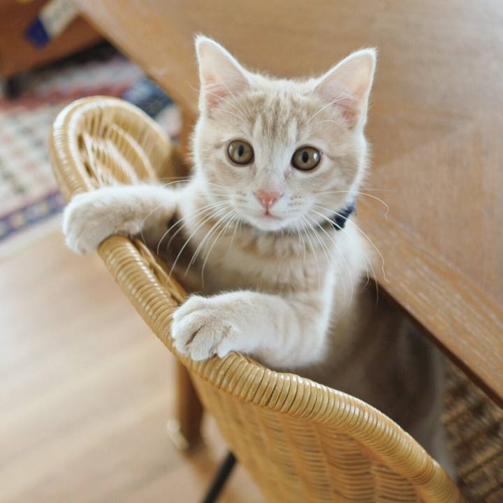 68bc90b0 cbf5 4149 91c1 42fa52c7fa65 1547378661278