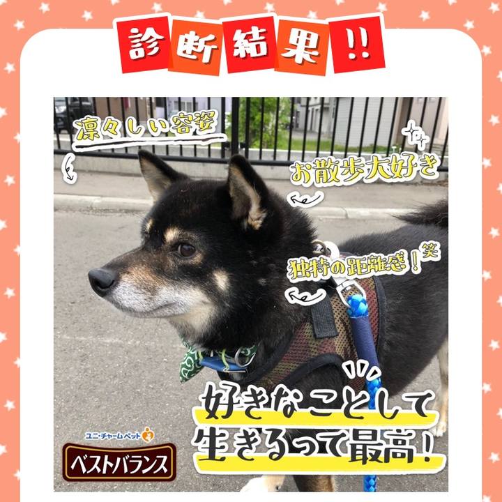 68bca838 3cfb 4902 83d8 68d9aca8ae15 1541807799520