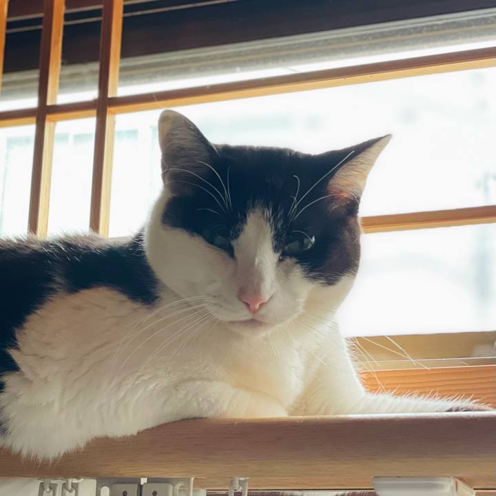 68bcae4e e607 49c1 a382 706e108e1dc1 1655259691497