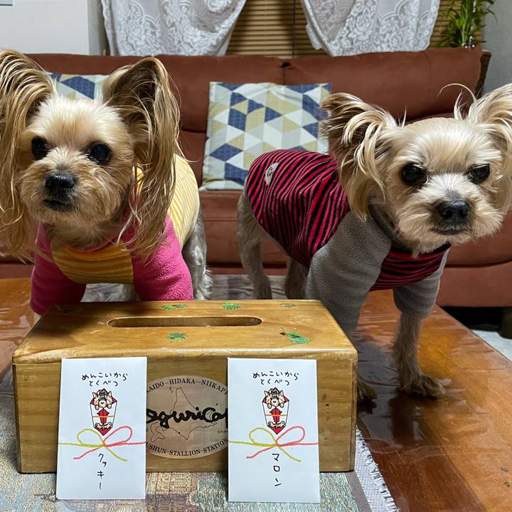 68bcef69 82e4 4db8 9a25 a2faa9adb212 1609664568461