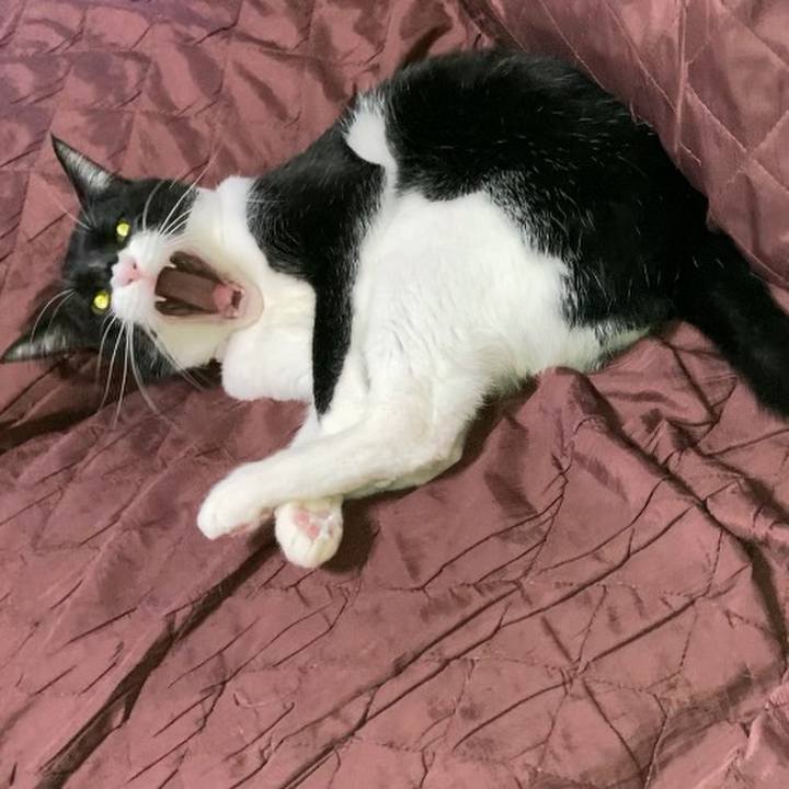 68bd1d9d e50c 4d77 965e 3e0ee1beac64 1613723629216