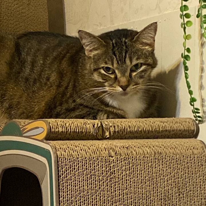 68bd9cda 2075 433b 804f 6077fd569074 1633261499688