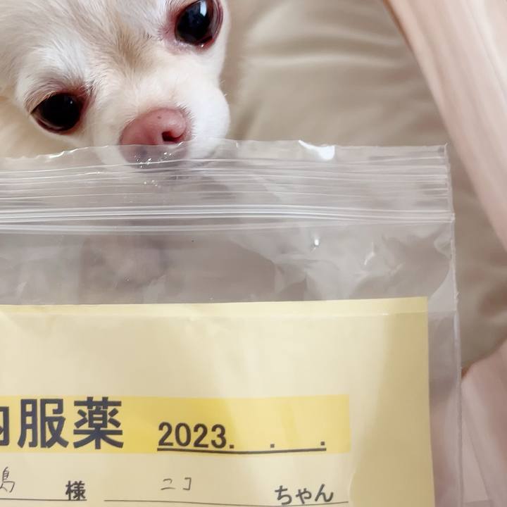 68bda511 d187 478c 9e72 be4b879015db 1691041113361