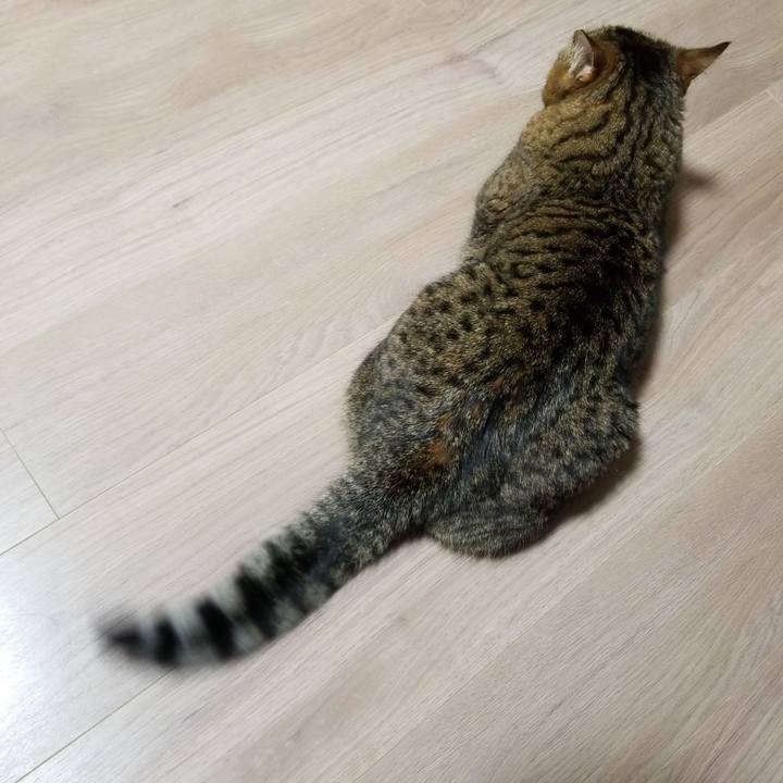 68bdc533 a12d 42c1 b286 1bb4756c9245 1578433582523