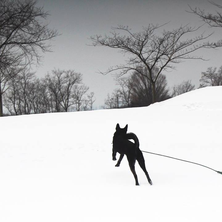 68bddc30 87a4 4334 86a6 65e4d1684968 1518959934359