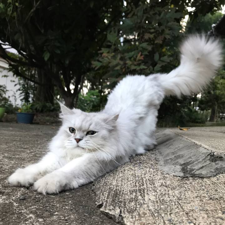 68bde760 979a 443a 8581 f99537b09265 1567514703014