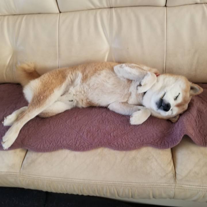 68bdfa20 4eca 4e69 8936 2928b255976a 1745966648762