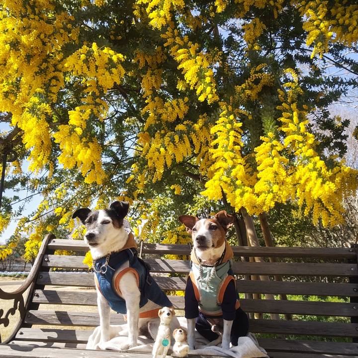 68be2699 3641 4556 bebd f26f2355f3bb 1773314526951