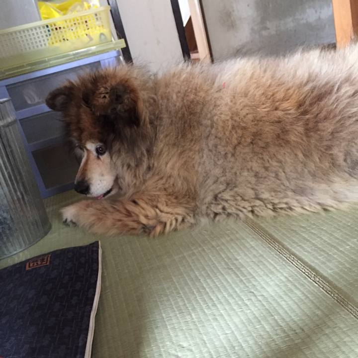 68be2a39 e107 47dc 9d64 6a9b2bc11bf7 1623737675461