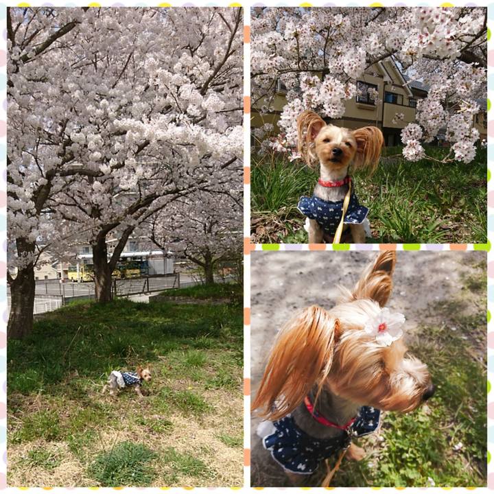 68be30cb a598 455f 8b3f 1bb186805462 1522555815299