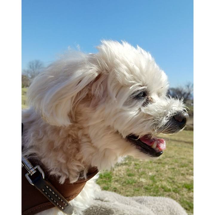 68be3830 9fb0 49db 8bc3 5d7879bda7a7 1679215435100