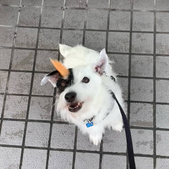 68be54f2 c0b7 40ac 8933 2088404b9b66 1725924216081