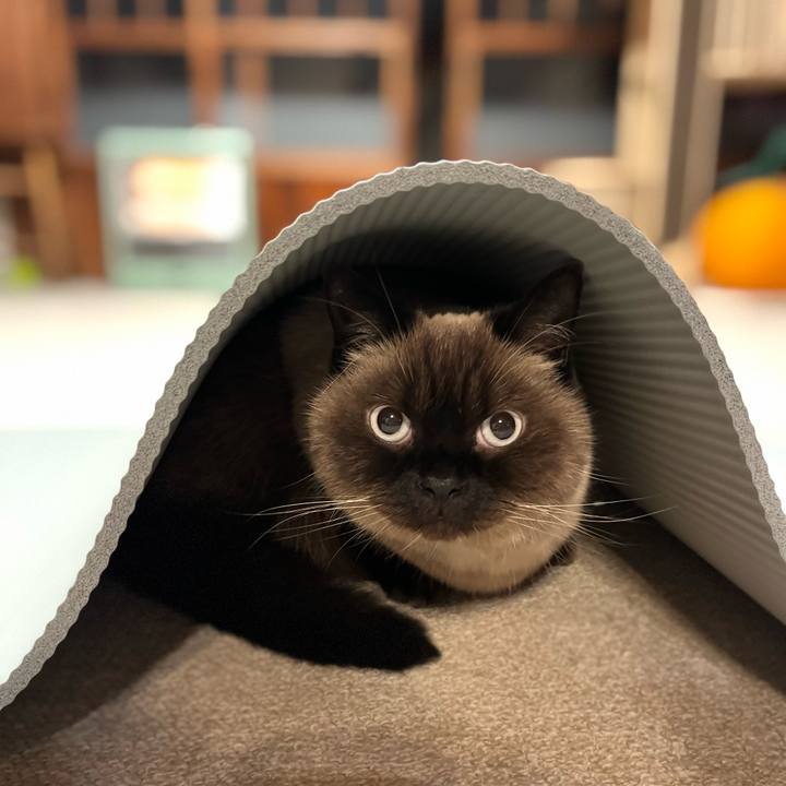 68be9590 d70d 4d31 9c95 64ab90106a8d 1732233500940