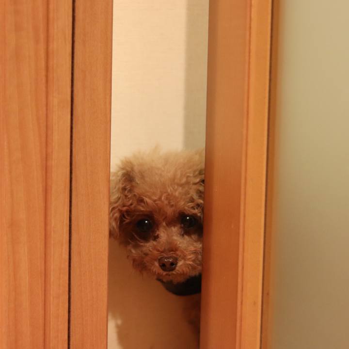 68beaebd 405b 4a41 a73f 08030d41f481 1548773263693