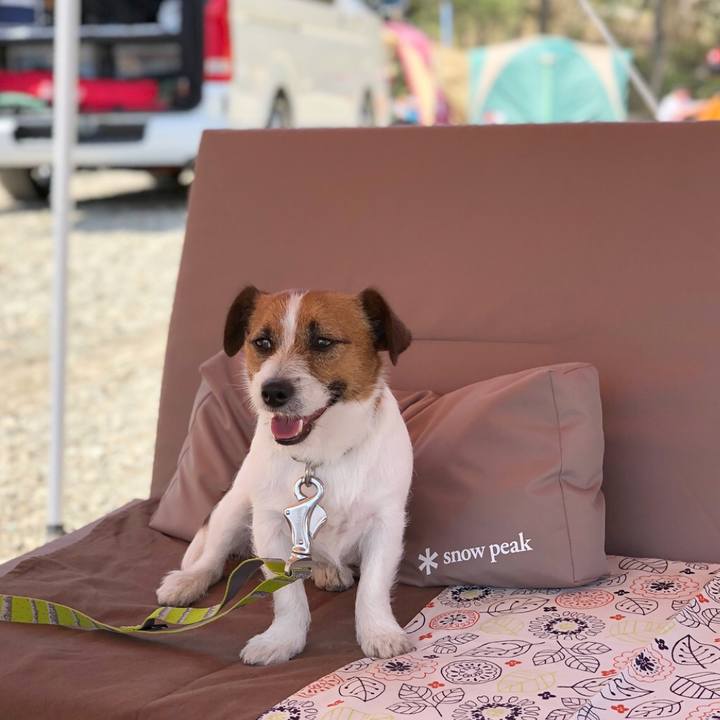 68bef7ed 719d 42fc 9f8f 79c2ae7873d5 1524310452402