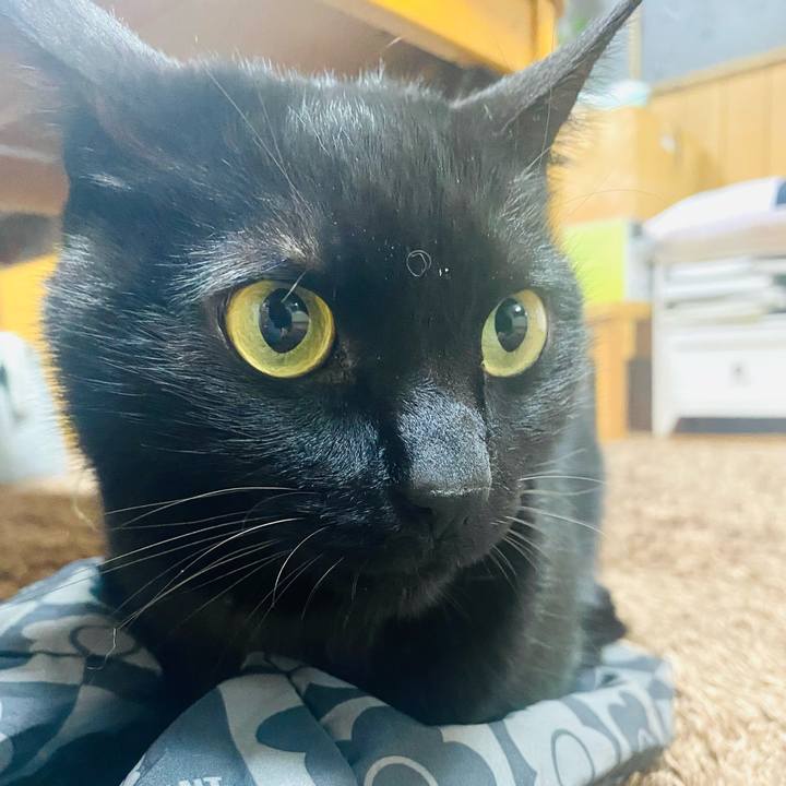 68bf1615 74d8 4244 b976 f204c7834521 1735911404235