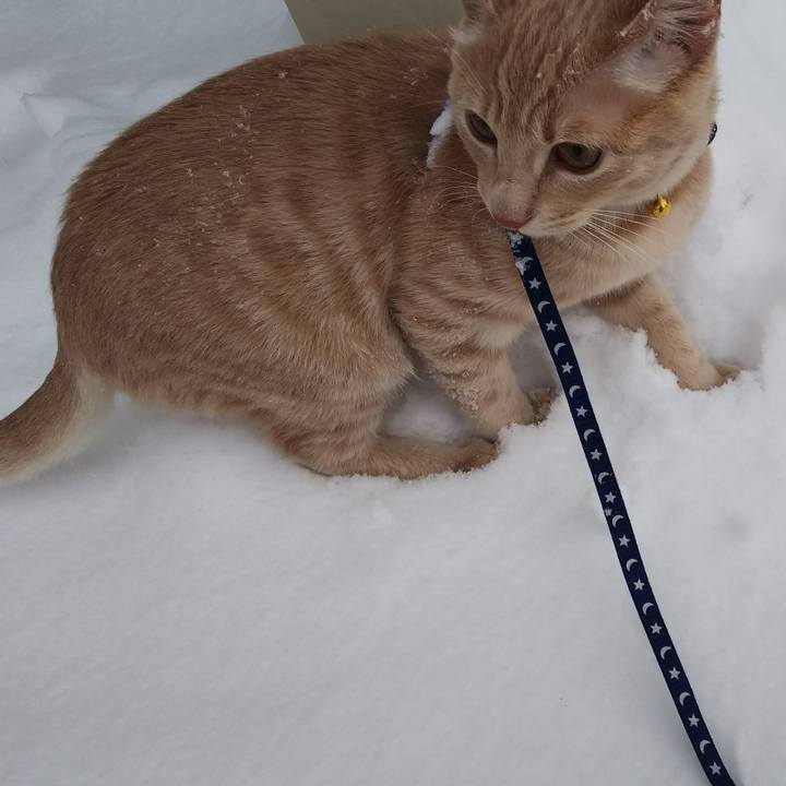 68bf2ab4 9727 421e 9b7a 4110ba65f3f8 1546472973223