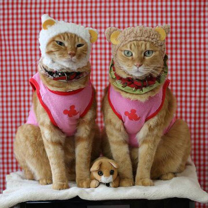 68bf65fb 262b 4942 b758 ca60251305ba 1512868693998