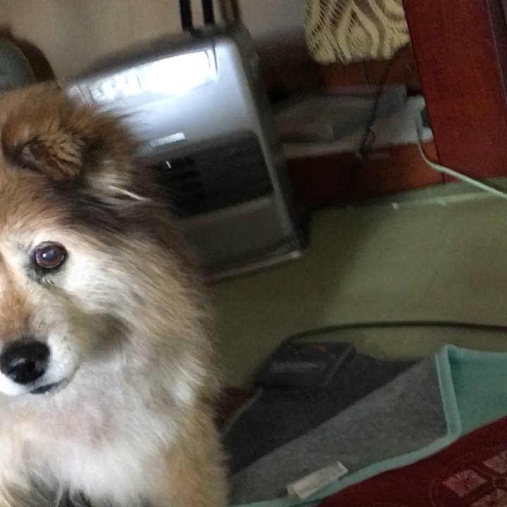 68bf6724 314d 48ba 8ba7 35f30b2ab715 1562484258978